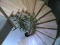 escalier limon courbe du tarn